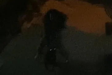 Pitbull dehşeti: 2 çocuk yaralandı