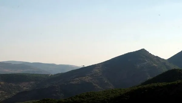 bingolde-cikan-orman-yangini-5inci-gunde-de-devam-ediyor-1630484772256.jpg Bingöl’de çıkan orman yangını 5'inci günde de devam ediyor!-1