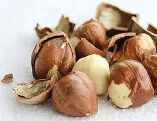 Fındık ye şifa bul