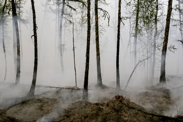 son-dakika-rusya-sibiryada-orman-yanginlari-dumanlar-tarihte-ilk-kez-kuzey-kutbuna-ulasti-1628590824869.jpg SON DAKİKA: Rusya Sibirya'da orman yangınları! Dumanlar tarihte ilk kez Kuzey Kutbu'na ulaştı-5