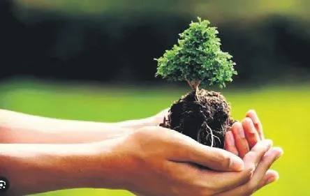 turkiye-yesillendi-turkiye-son-20-yilda-yesil-alanda-cag-atladi-1691018969414.jpeg Türkiye yemyeşil! Türkiye yeşil alanda çağ atladı-3