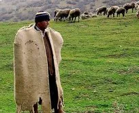 150 bin çoban açığını Afganlar kapatacak