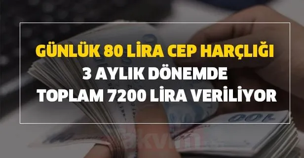 Günlük 80 lira cep harçlığı ile 3 aylık dönemde toplam 7200 lira veriliyor
