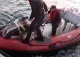 Batan tekneden 1,1 ton uyuşturucu çıktı