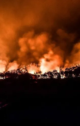 Orman yangınlarında son durum! Bakanlar yaşanan gelişmeleri tek tek açıkladı