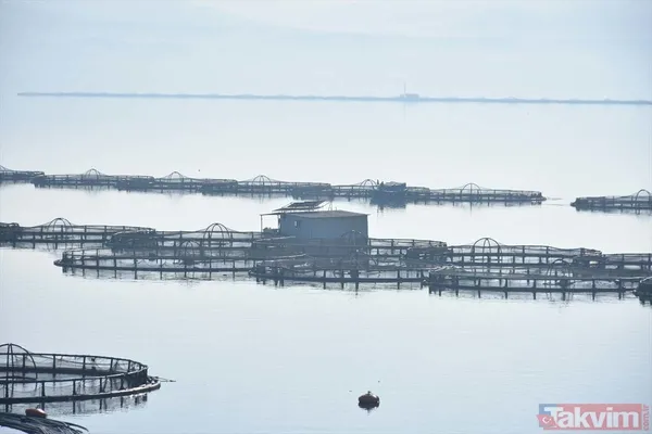 Yıllık kazançları 1 milyar TL! Deniz olmayan şehir Malatya'dan Avrupa ve Rusya'ya somon ihraç ediyorlar - 7