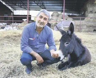 Eşek sütü mucizesi