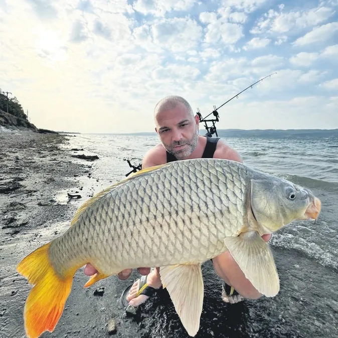 Sazan balığını öpüp suya saldı