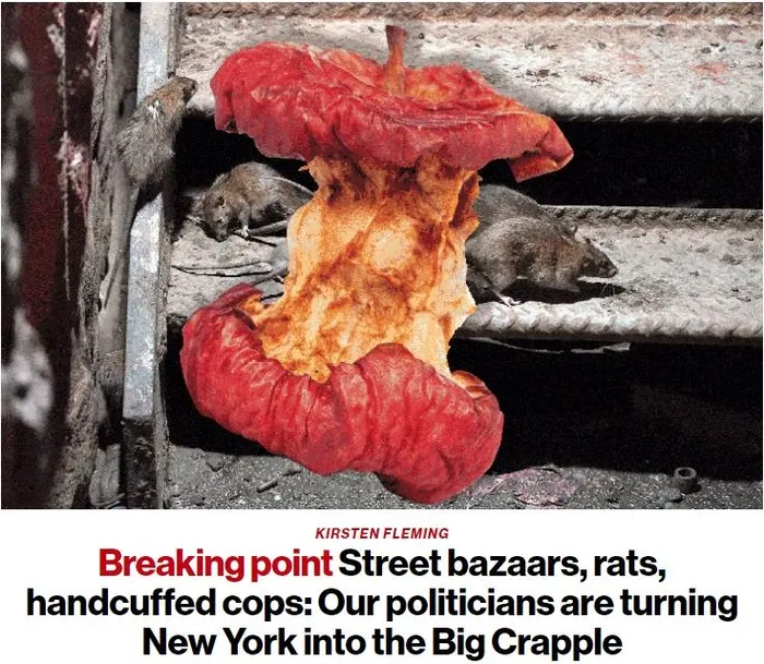 new-york-fare-kolonilerine-teslim-oldu-besinci-cadde-ve-brooklyn-koprusu-orta-cag-pazarlarina-dondu-amerikan-k-1703164931238.jpeg New York fare kolonilerine teslim oldu! Beşinci Cadde ve Brooklyn Köprüsü orta çağ pazarlarına döndü: Amerikan kabusunu New York Post yazarı anlattı-2