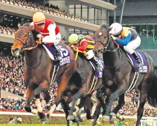 At yarışı-piyango aynı pakette