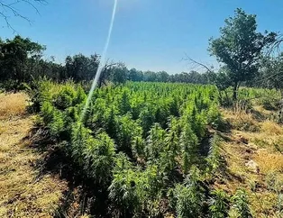 PKK’nın para kaynağına darbe!