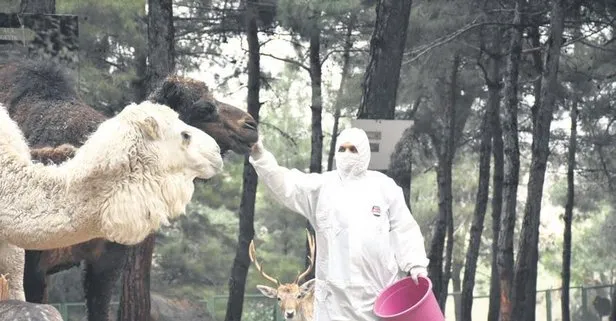 Gaziantep Hayvanat Bahçesi’nde hayvanların günlük bakımları titizlikle yapılıyor