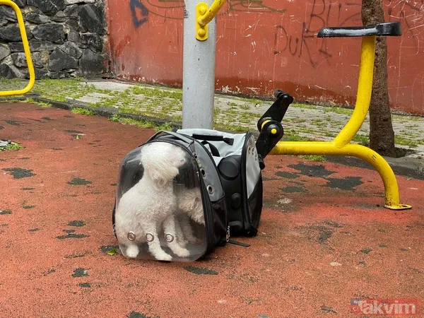 İstanbul'da panik anları! Şişli'de yer altı kabloları yandı bina tahliye edildi - 5