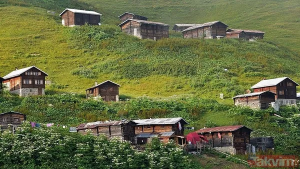 Muhtar da o vatandaş da o! İşte Türkiye'nin tek kişilik köyleri - 8
