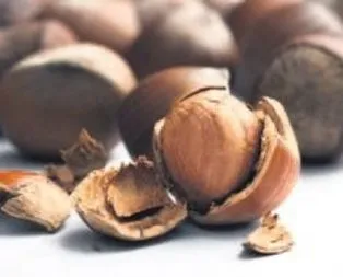 Fakıbaba’dan fındık üreticisine garanti