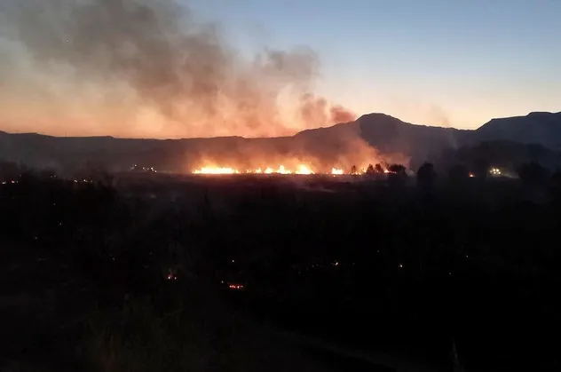 Ankara Nallıhan'da yangın!