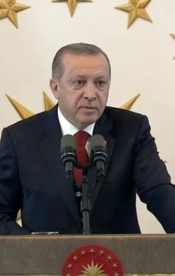 Erdoğan'dan Türkiye'yi karalayan profesöre çok sert tepki!