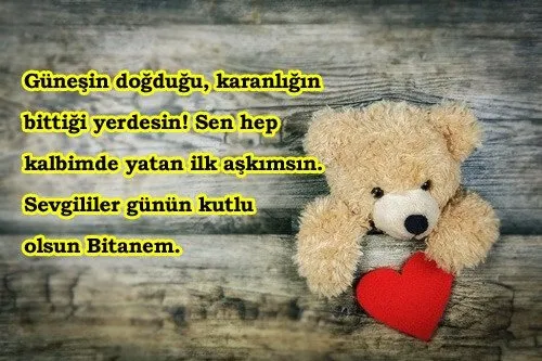 ilk cinsel deneyim hikayeleri aradığım bir bayan erkek tula