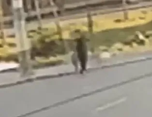 Peş peşe sokak köpeği saldırıları! İzmir ve Erzurumdan şok görüntüler