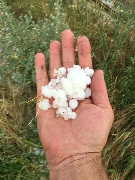 son-dakika-dolu-kabusu-yasandi-20den-fazla-tarim-arazisi-zarar-gordu-1591964710702.jpg Son dakika: Dolu kabusu geliyor! Uyarı üstüne uyarı yapıldı-4