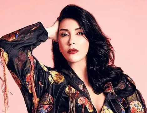 Hande Yener'in takıntılı hayranı evine izinsiz girip kabus dolu anlar yaşattı-2