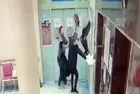 Edirne'de skandal olay! Doktora saldırıp darbetti: Yine tahliye oldu!