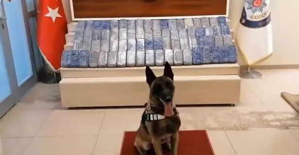 Zehir tacirlerine darbe! Dikkat çeken mavi vatan detayı