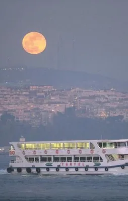 Mavi kanlı ay büyüledi