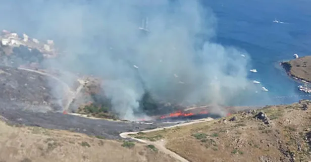 Son dakika: Bodrum'da otluk alanda çıkan yangın yerleşim yerine doğru ilerliyor