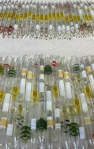 Hatay'da 152 tüp kobra zehri ortak operasyonla ele geçirildi!