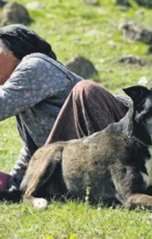 "Koku" filmi motor diyerek ilk set gününe çıktı