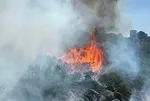 Çanakkale'de alevlerle mücadele! Makilikte başladı Asos Antik Kenti'ne sıçradı | Yoğun çabalarla söndürüldü