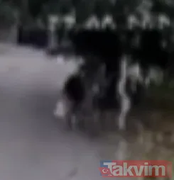 "Misafir Gelince, Babamın Cenazesini Çekyatın Altına Koyuyormuş" Nihat Salih'in Oğlu Özcan Salih İse, "Ben Maktulün Oğluyum. Babamla Birlikte Yaşıyorum. Babam...