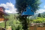 Rize’de iki kardeş çocukluk hayalini gerçekleştirdi: Ağaç eve asma köprüyle ulaşıyorlar