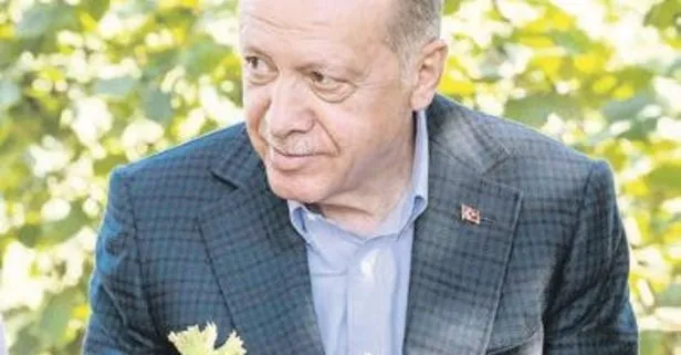 Başkan Erdoğan Ordu’dan Kılıçdaroğlu’na seslendi: Sen korkaksın