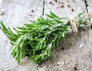 Balgam söktüren ve akciğeri temizleyen şifalı bitkiler...