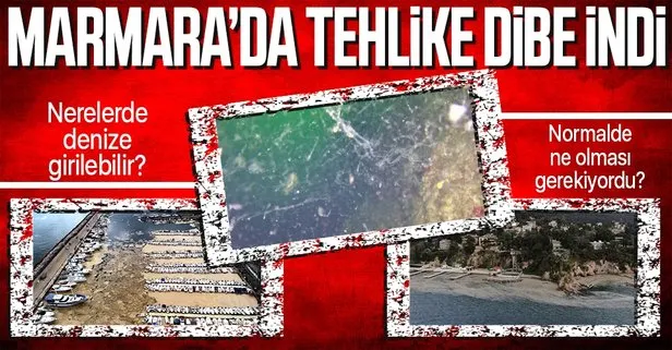 Marmara Denizi’de deniz salyası tehlikesi | Marmara’da denize nerede girilir?