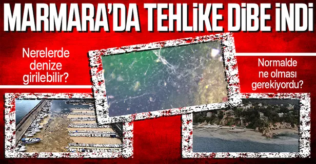 Marmara Denizi'de deniz salyası tehlikesi | Marmara'da denize nerede girilir?
