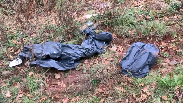 istanbulda-dehset-goruntu-yemek-yerken-tekrar-dusunun-sariyerde-yol-kenarinda-kesilmis-at-parcalari-bulundu-1637658827031.jpg İstanbul'da dehşet görüntü! Yemek yerken tekrar düşünün: Sarıyer'de yol kenarında kesilmiş at parçaları bulundu-4