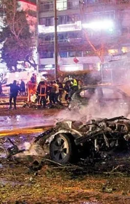 Hainlerin ortaklığı