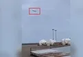 Uçak kazası: Kazakistan'da yolcu uçağı düştü!
