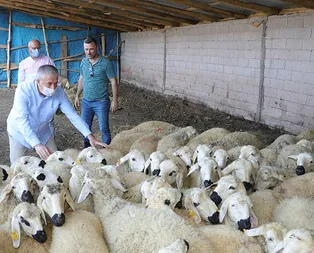 Kurbanlık sayısı hakkında açıklama!
