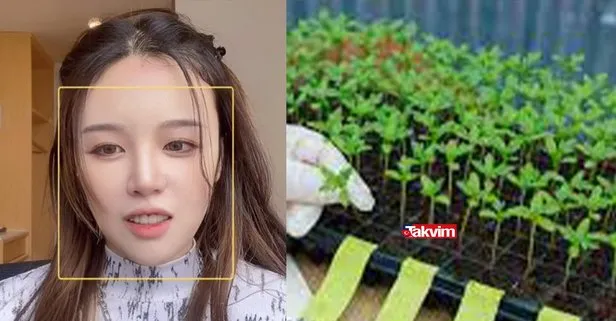 pestisit ne demek zararlari neler pestisit nedir neden kullanilir pestisit oldurucu mu tiktok fenomeni canli yayinda intihar etti takvim pestisit ne demek zararlari neler pestisit nedir neden kullanilir pestisit oldurucu mu tiktok fenomeni canli yayinda intihar etti takvim