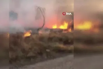 Kaplumbağayı yanmaktan itfaiye kurtardı