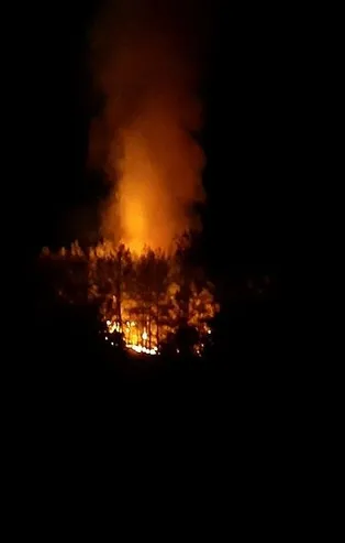 Muğla Fethiye'de orman yangını!
