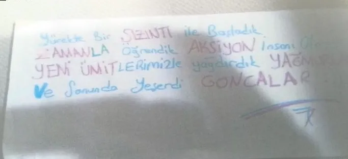 Vaizli kazanç-3