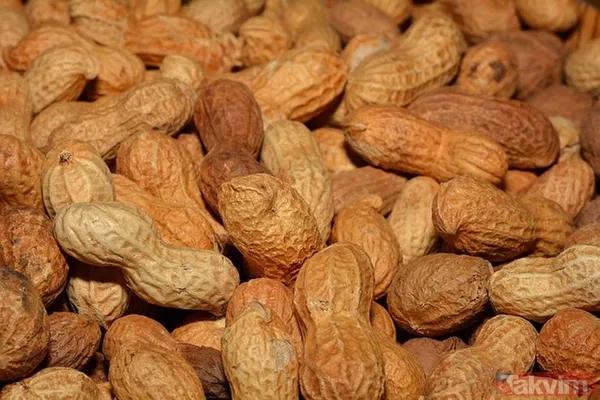 Siz siz olun yerken dikkatli olun! Hepimiz sağlıklı sanıyoruz ama büyük risk taşıyor, meğer... - 5