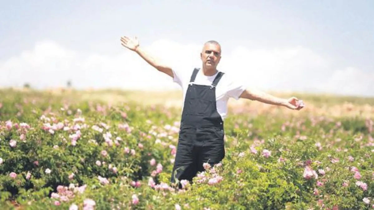 Berdan gül gibi kazanıyor