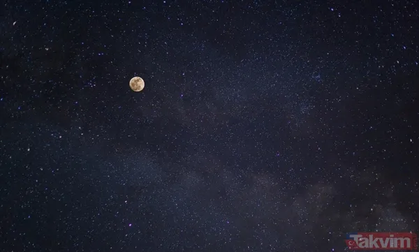 Asla pes etmezler! Zodyak'ın en kararlı 4 burcu: Listede siz de varsınız - 4