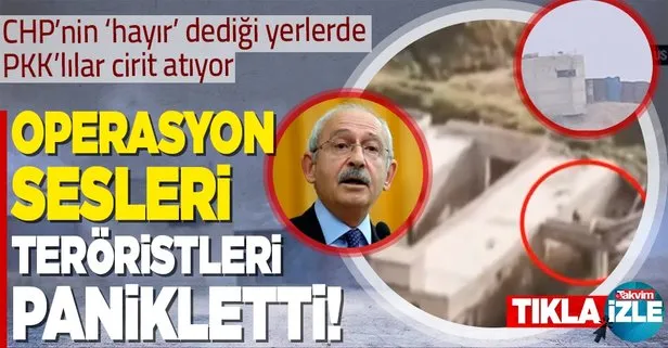 Operasyon sinyali teröristleri panikletti! HDP’nin güdümündeki CHP’nin tezkereye ’hayır’ dediği bölgelerde PKK’lılar cirit atıyor